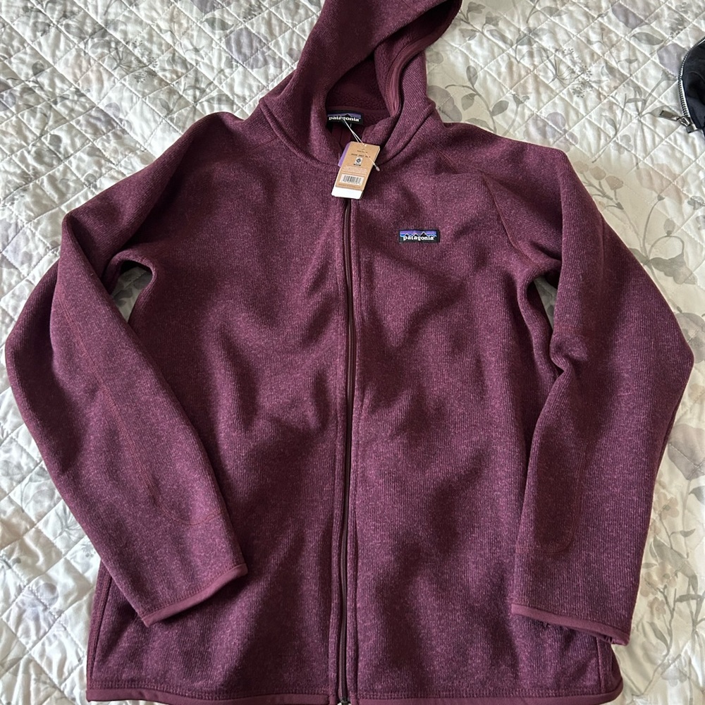 Patagonia Better Sweater Hoody NEW!